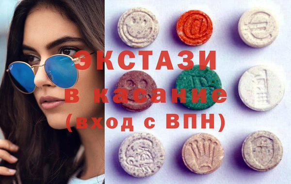 стаф Касимов