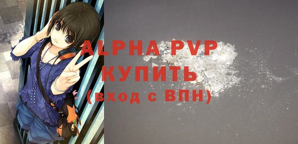 стаф Касимов