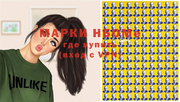 стаф Касимов