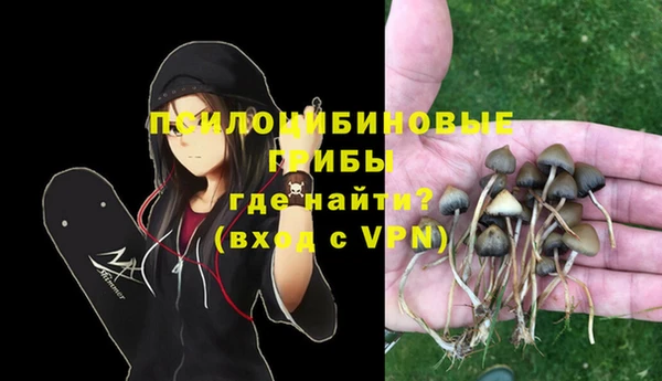 mdpv Кинешма