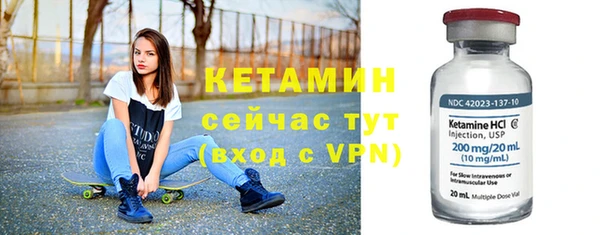 стаф Касимов