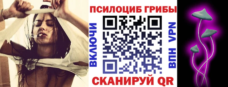 продажа наркотиков  МЕГА зеркало  Псилоцибиновые грибы Psilocybe  Старая Русса 